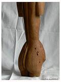 Torzo zeny 04